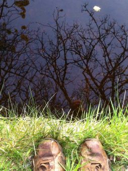 Spring awakening: trusting the magic